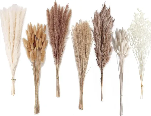Miniatura 7 de Decoración de hierba de pampa seca natural, 100 piezas de hierba de pampa que contiene colas de conejo blancas flores secas, ramo de hierba de caña