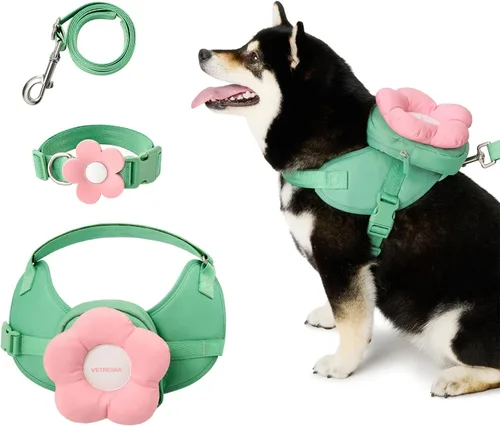 Miniatura 9 de VETRESKA Flora - Juego de arnés para perro, correa y collar, arnés de chaleco para perro sin tirones para caminar y entrenar, ajustable, fácil