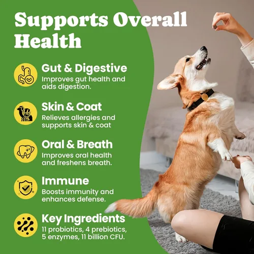 Miniatura 9 de Probióticos para perros – Salud digestiva e intestinal para estómagos sensibles, probióticos para perros en polvo para piel y pelaje, aliento e