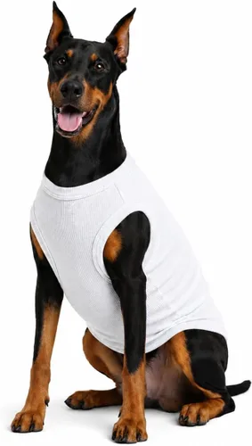 Miniatura 11 de Lovelonglong Ropa para mascotas de verano 2019, ropa para perro, camisetas en blanco, camisetas acanaladas, chalecos de hilo superior para perros
