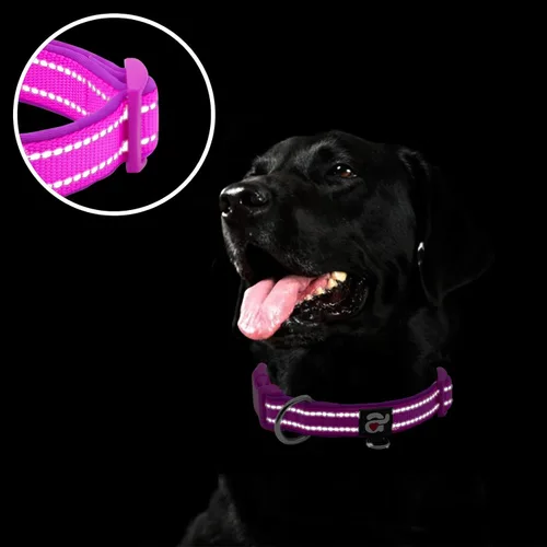 Miniatura 4 de azuza Collar reflectante para perro, de neopreno suave acolchado con anillo para etiqueta de identificación, ajustable para perros medianos, morado
