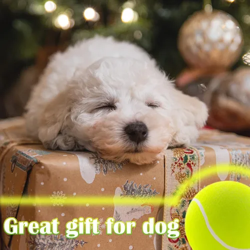 Miniatura 7 de Pelota de tenis grande para perros Banfeng, pelota de deporte gigante de 24 cm para perros, juguete interactivo para mascotas, regalo de cumpleaños