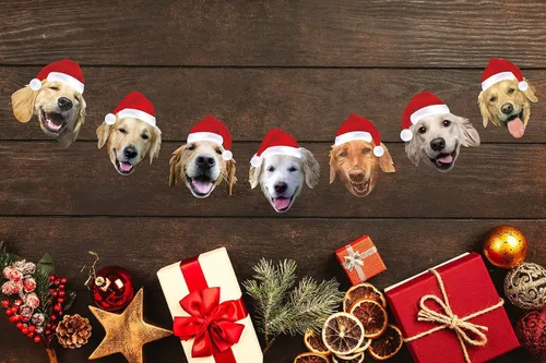 Miniatura 3 de Letrero para fiesta de cumpleaños «Happy Birthday» #5. Guirnalda de Navidad Golden Retriever