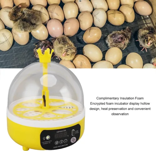 Miniatura 8 de Yosoo Incubadora de pollo, mini incubadora de huevos para incubar 4 huevos, criador de huevos portátil para pollo, pato, ganso, con ventana