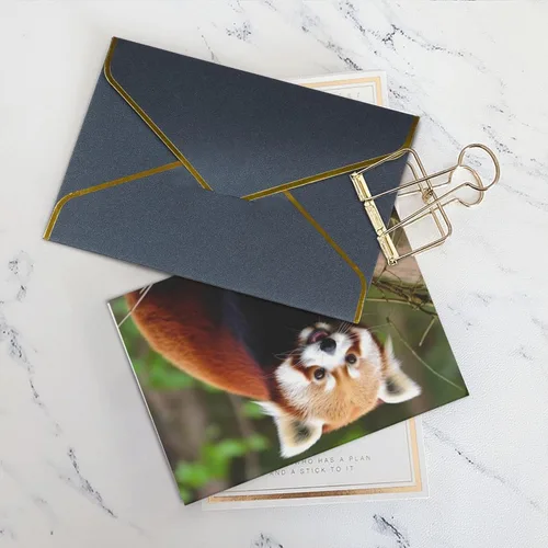 Miniatura 5 de Tarjetas de felicitación con sobres, tarjeta de felicitación con sobres, tarjeta de felicitación de Little Panda rojo en blanco para todas