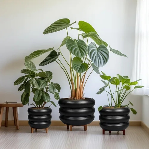 Miniatura 7 de Maceta de cerámica SQOWL para plantas de 8 pulgadas - Maceta de interior con orificio de drenaje para plantas de exterior, maceta floral moderna