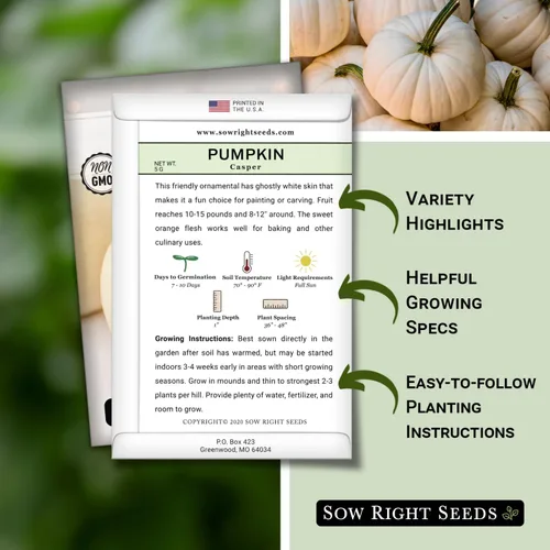 Miniatura 2 de Sow Right Seeds - Semillas de calabaza Casper para plantar - Paquete de reliquia sin OMG con instrucciones para plantar un huerto casero - Variedad