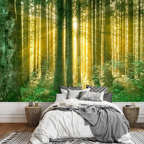 Miniatura 11 de SIGNWIN Adhesivo mural removible para pared, luz solar mística, niebla, bosque de árboles verdes, naturaleza, desierto, fotografía, realismo