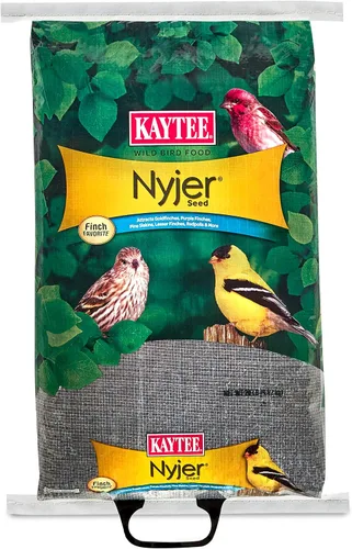 Miniatura 15 de Kaytee Nyjer - Semilla de comida para pájaros silvestres, 3 libras