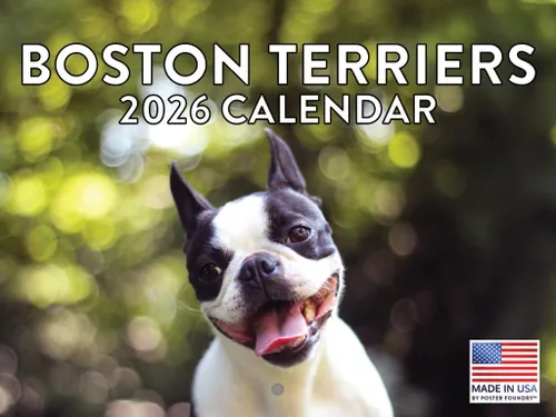 Miniatura 222 de Calendario de pared mensual 2025 Great Dane de 12 meses, fabricado en Estados Unidos