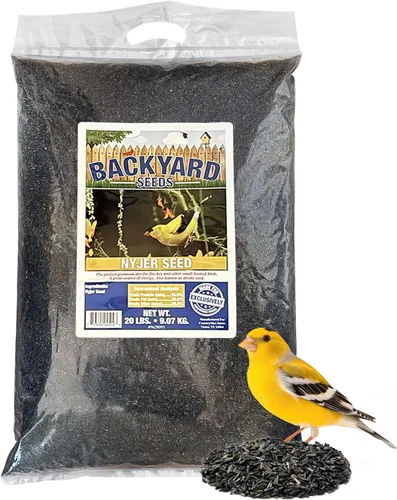 Miniatura 7 de Nyjer - Semilla de cardo para pinzones de 3 libras, semilla de ave Nyjer prémium para comederos exteriores, bolsa pequeña de alimento para pájaros