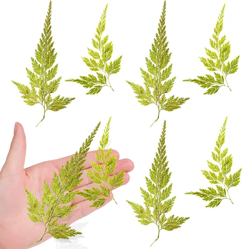 ALJ Hojas de helecho secas reales, 42 hojas de helechos prensadas amarillas naturales para arte de resina, decoración de adornos de manualidades,