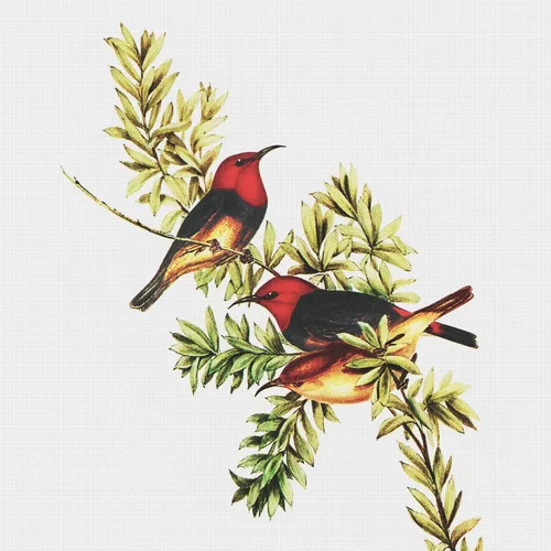 Miniatura 7 de Canguros australianos John Gould Counted Patrón de punto de cruz