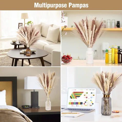 Miniatura 4 de N&T NETING - Decoración de hierba de pampa seca, hierba de pampa blanca, pampa marrón, cola de conejo, caña, flores de hierba de pompas secas