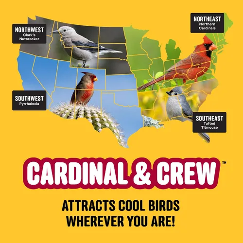 Miniatura 11 de Cool Birds Cardinal & Crew Semilla para Aves Silvestres – 10 lb. Girasol de Aceite Negro, Corazones de Girasol y Mezcla de Cártamo para Cardenales
