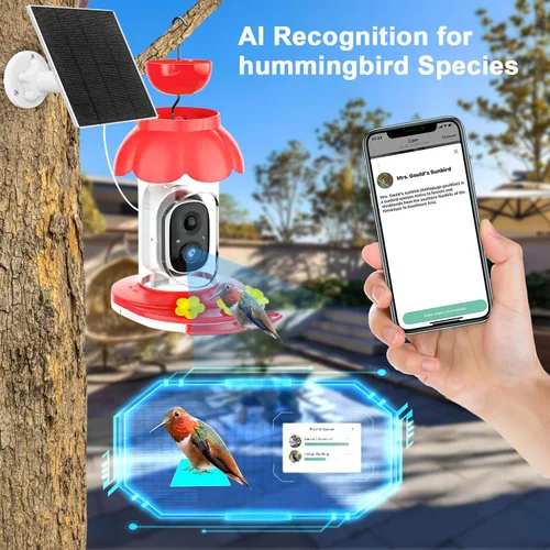 Miniatura 3 de Comedero de colibríes con cámara, cámara inteligente alimentadora de colibríes alimentada por energía solar con identificación IA, captura
