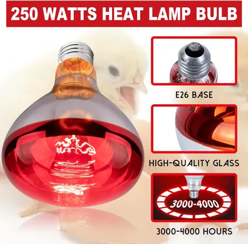 Miniatura 3 de Bombillas de Lámpara de Calor de 250 Vatios para Pollitos, Lámpara de Calor R40 de Incubadora para Pollos, Bombillas de Calor Reflectoras