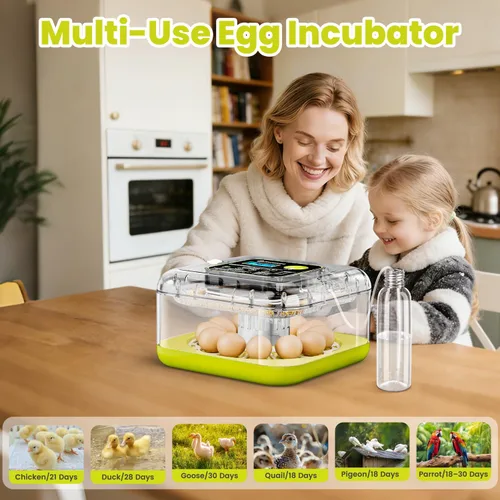 Miniatura 7 de Incubadoras de huevos para incubar huevos, incubadora de 12 huevos con giro automático de huevos y control de humedad, incubadora para huevos