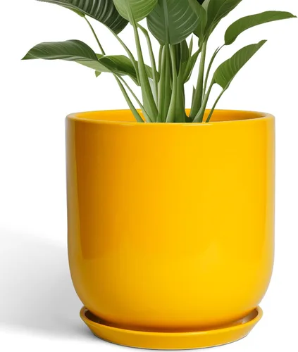 Miniatura 23 de Maceta de Cerámica para Plantas de Interior de 5 Pulgadas - Maceta Redonda para Plantas Suculentas con Agujero de Drenaje y Platillo, Decoración