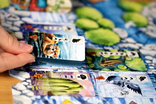 Miniatura 4 de Meadow Downstream Juego de mesa EXPANSIÓN Estrategia Aventura Naturaleza Diversión Familiar para Adultos y Niños a partir de 10 a 4 jugadores