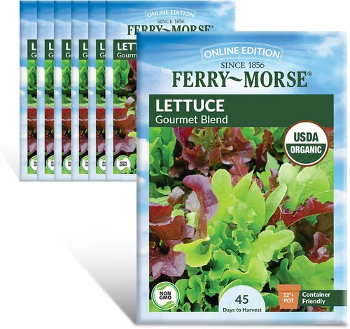 Miniatura 24 de Ferry-Morse Online Edition Tomato Supersweet 100 semillas híbridas – Alta tasa de germinación, sin OGM – Paquete de 8 Tomato Supersweet 100 Hybrid