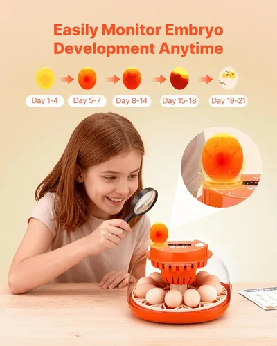 Miniatura 5 de VEVOR Incubadora de 12 huevos, girador automático de huevos con vela LED, control de temperatura y humedad, ventana transparente de visión de 360°