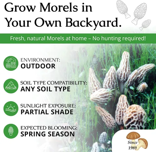 Miniatura 3 de Hábitat para cultivo de morillas, juego de cultivo de setas para el patio Compatible with Any Soil Type Across the U.S., Outdoor Garden & Backyard