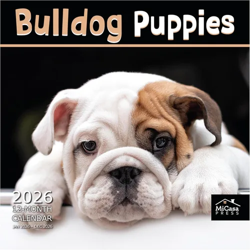 Miniatura 80 de MICASA PRESS Beagles - Calendario de pared 2026 de 12 meses 12 x 24 pulgadas abierto Papel grueso y resistente Regalo Lindo calendario