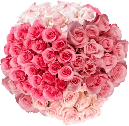 GlobalRose Ramo de 100 rosas rosadas, flores frescas de origen responsable, flores frescas seleccionadas a mano para graduación, aniversario,