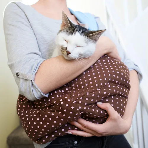 Miniatura 7 de Transportín para perros y gatos iPrimio manos libres, bolsa de transporte reversible Papoose Súper bolsa blanda y contenedor. Gran transportín