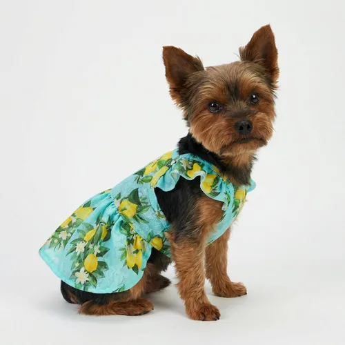 Miniatura 5 de Vestido de limón para perros Fitwarm, ropa para perros pequeños para niñas, ropa para mascotas para gatos, azul teja, amarillo, verde, XS