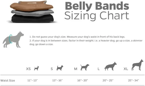 Miniatura 6 de Bandas para vientre de perros lavables (3 PACK) de fundas duraderas para perros machos. Pañales de calidad para perros macho. Bandas cómodas