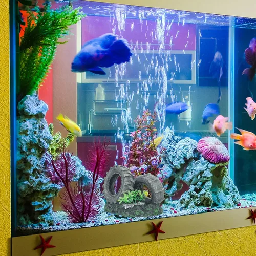 Miniatura 9 de DOITOOL Escondite de peces y camarones, decoración de coches, accesorios de escritorio, escondite de peces, escondite de acuario, decoración