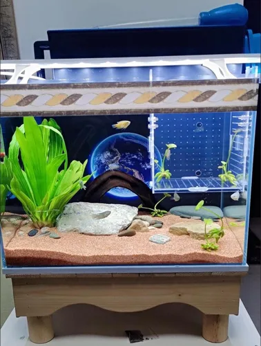 Miniatura 4 de AWXZOM Caja de cría de peces acrílico, caja de aislamiento de peces acrílico, separador de peces para acuario, incubadora de vivero con ventosas