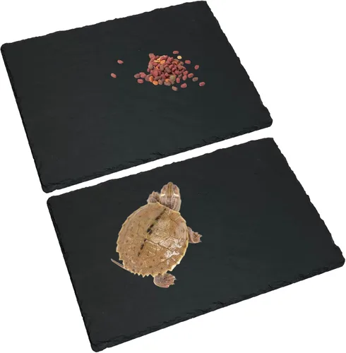 Miniatura 8 de Tfwadmx Plataforma para tomar el sol de reptiles, área de baño de tortuga, área de baño de tortuga, placa de roca original, uñas de molienda
