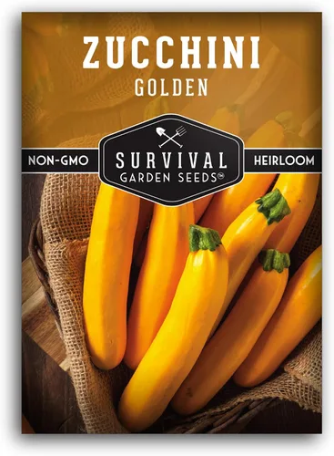 Semillas de calabacín dorado para plantar, planta y cultiva verduras de calabacín amarillo en tu huerto casero, variedad de reliquia sin OMG,