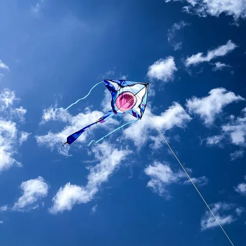 Miniatura 6 de In the Breeze Cometa Fly-Hi de 45 pulgadas, cometa de una sola línea, tela Ripstop, línea y bolsa incluidas