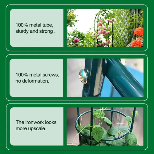 Miniatura 2 de Soporte para plantas y flores trepadoras de jardín