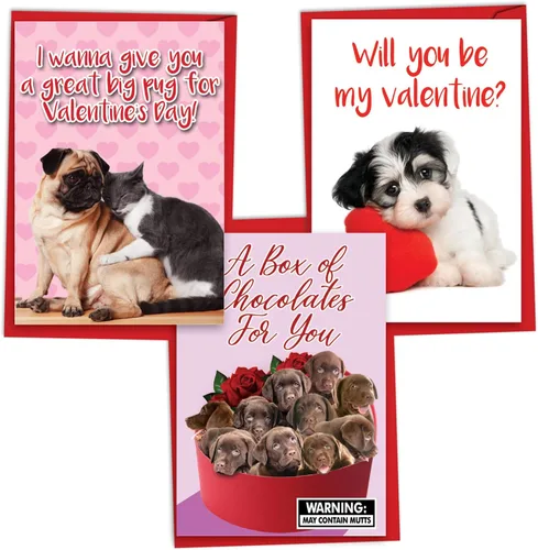 Miniatura 13 de NobleWorks - Paquete de 3 tarjetas de felicitación del día de San Valentín con sobres, divertidos juegos de palabras de amor para hombres y mujeres