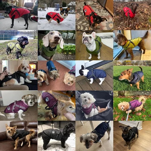 Miniatura 4 de Jinpet - Abrigo con arnés reflectante de invierno para perro, tela polar impermeable, chaqueta con cremallera, para cachorros, perros pequeños, Verde