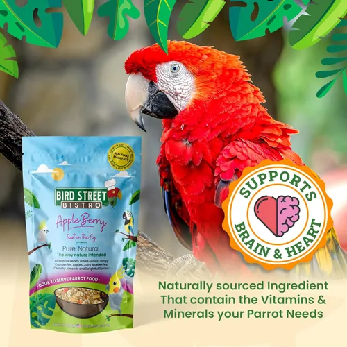 Miniatura 4 de Bird Street Bistro Comida para loros - Comida para periquitos y cacatúas, cocina en 3-15 minutos con granos naturales, legumbres, frutas, verduras
