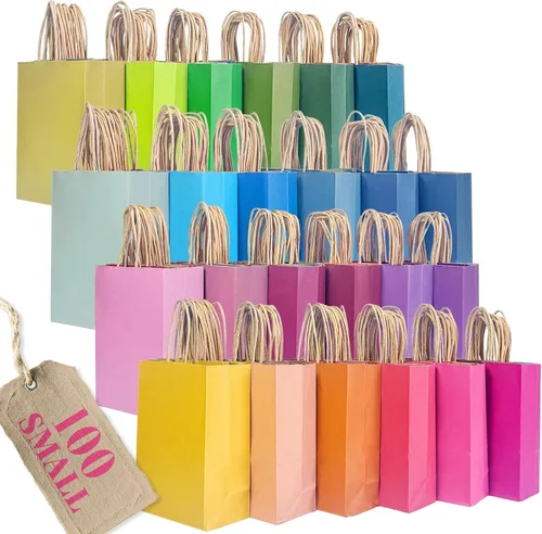 qiqee Bolsas de regalo pequeñas de papel multicolor con asas a granel para fiesta arcoíris - 8.3"x6"x3.15" 100 piezas