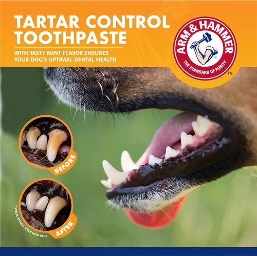 Miniatura 5 de Arm & Hammer for Pets Dog Dental Care Kit de aliento fresco Incluye pasta de dientes para perros de bicarbonato de sodio Arm & Hammer y cepillo
