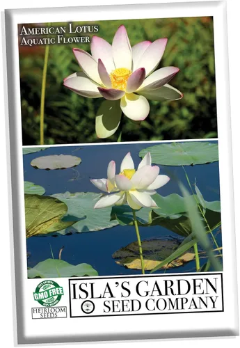 Semillas de flores acuáticas y de estanque "American Lotus" para plantar, 2 semillas por paquete, semillas de jardín de Isla (semillas de jardín de