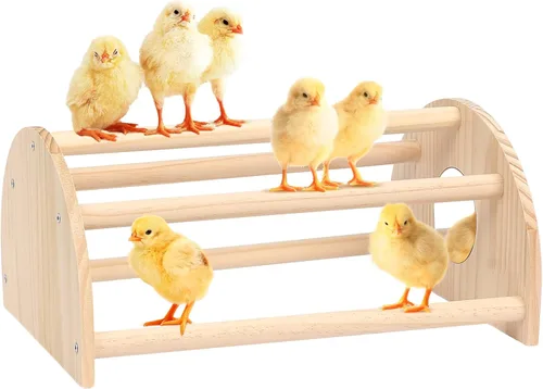 Miniatura 9 de Perca de pollo de pino con espejo, barra de gallo fuerte para pollitos de la selva, juguetes de pollo para gallinero y criador, juguetes de perca