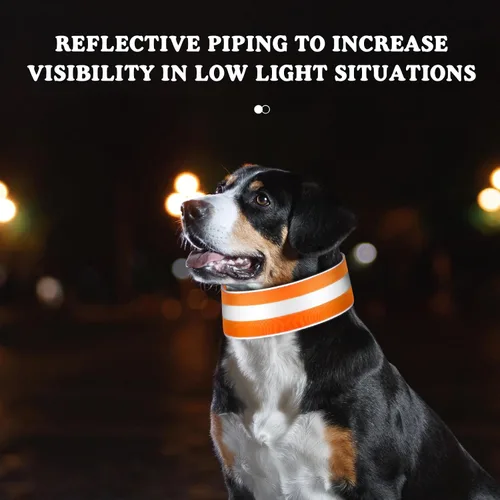Miniatura 2 de Paterr 2 collares reflectantes para perro, ajustables de alta visibilidad, con cierre de liberación rápida, cómodos accesorios para pasear perros