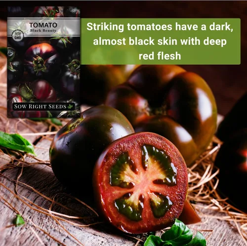 Miniatura 5 de Sow Right Seeds - Semillas de tomate Black Beauty para plantar - Paquete de reliquia sin OMG con instrucciones para plantar un huerto en el hogar al