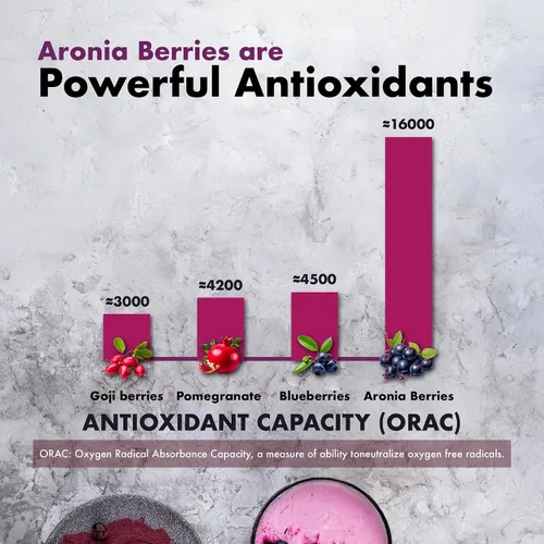 Miniatura 8 de Extracto en polvo Aronia, 1