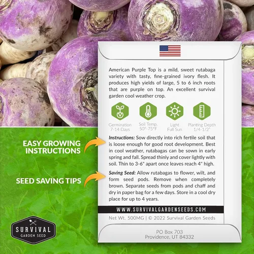 Miniatura 2 de Survival Garden Seeds - 1 paquete de semillas de Rutabaga púrpura estadounidense para plantar con instrucciones para cultivar Brassica Napus en tu