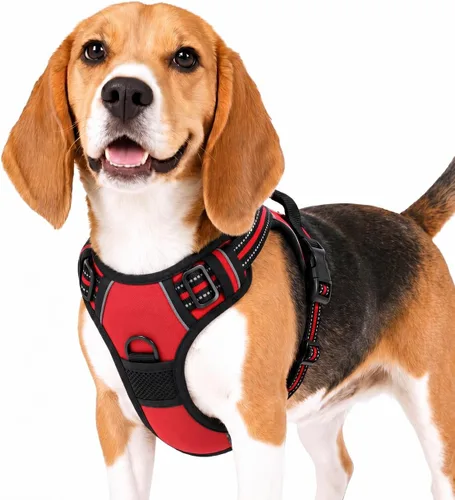 Miniatura 13 de Funfox Arnés para perro sin tirones, chaleco ajustable para mascotas con asa de control y clip frontal, diseño reflectante para perros pequeños